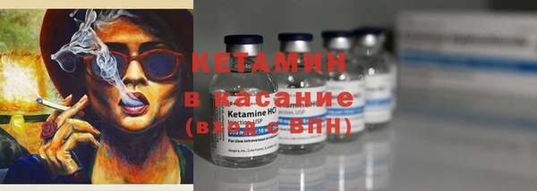стаф Вязьма