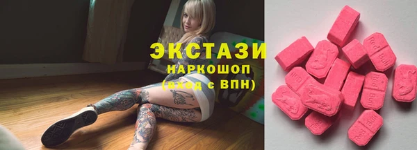 стаф Вязьма