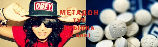 стаф Вязьма