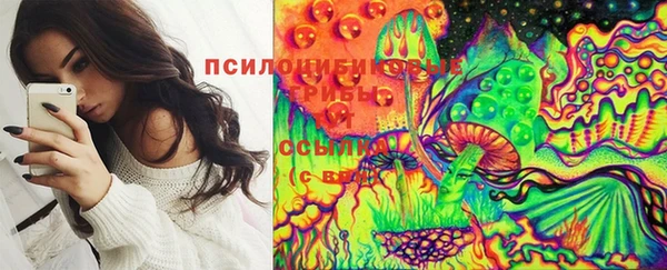 стаф Вязьма