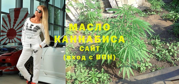стаф Вязьма