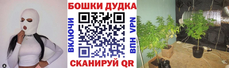 МАРИХУАНА индика  Купить  Сафоново 